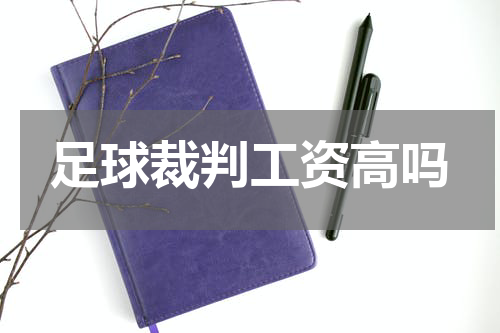 足球裁判工资高吗