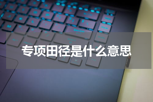 专项田径是什么意思