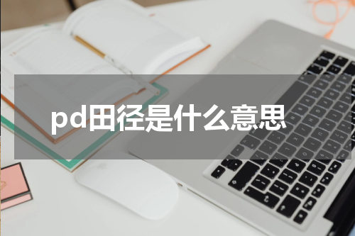 pd田径是什么意思