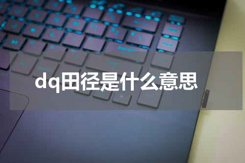 dq田径是什么意思