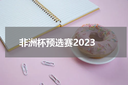 非洲杯预选赛2023