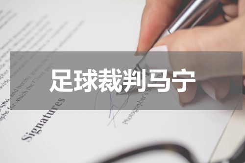 足球裁判马宁