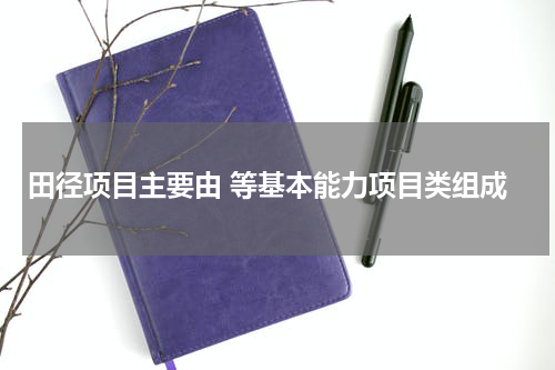 田径项目主要由 等基本能力项目类组成