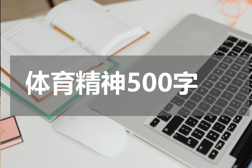 体育精神500字