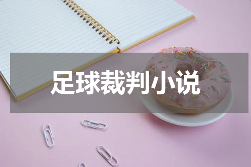 足球裁判小说