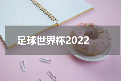 足球世界杯2022