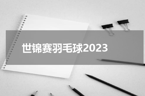 世锦赛羽毛球2023