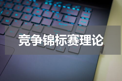 竞争锦标赛理论