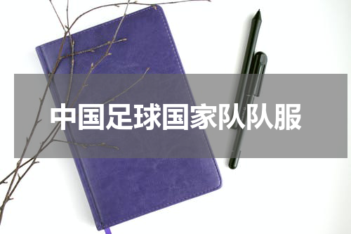 中国足球国家队队服