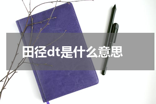 田径dt是什么意思