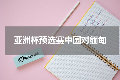 亚洲杯预选赛中国对缅甸
