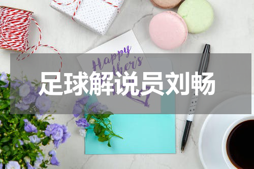 足球解说员刘畅
