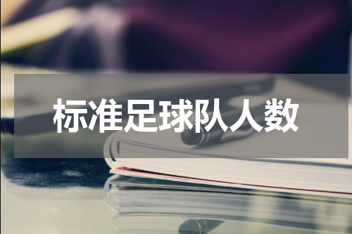 标准足球队人数
