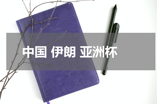 中国 伊朗 亚洲杯