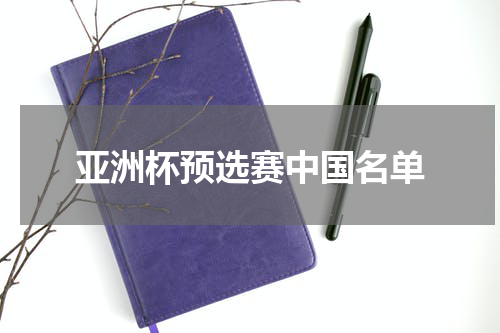 亚洲杯预选赛中国名单