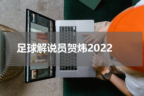 足球解说员贺炜2022