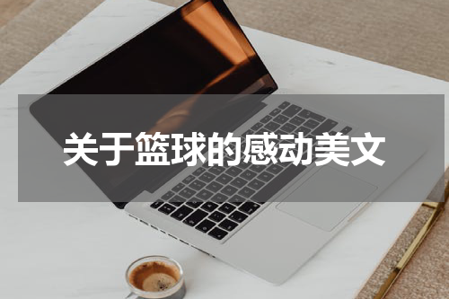 关于篮球的感动美文