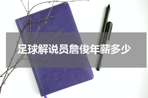 足球解说员詹俊年薪多少
