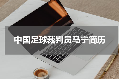 中国足球裁判员马宁简历