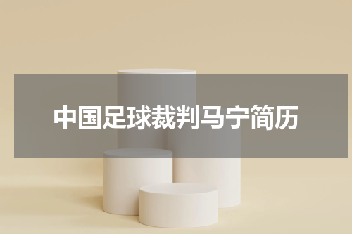 中国足球裁判马宁简历