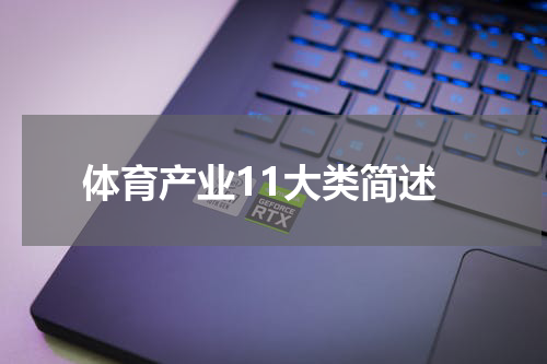 体育产业11大类简述