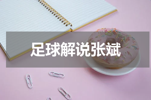 足球解说张斌