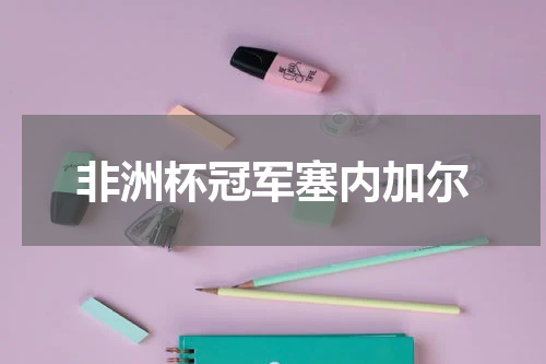 非洲杯冠军塞内加尔