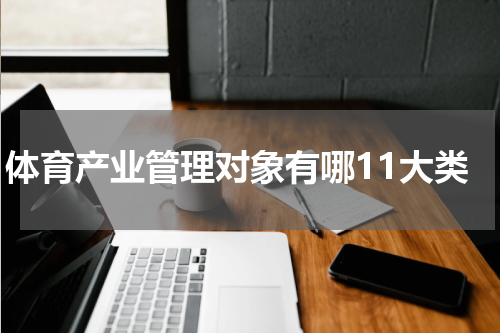 体育产业管理对象有哪11大类