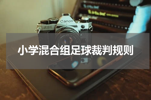 小学混合组足球裁判规则