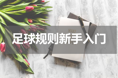 足球规则新手入门