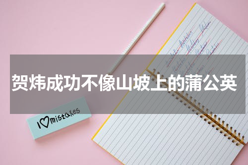 贺炜成功不像山坡上的蒲公英