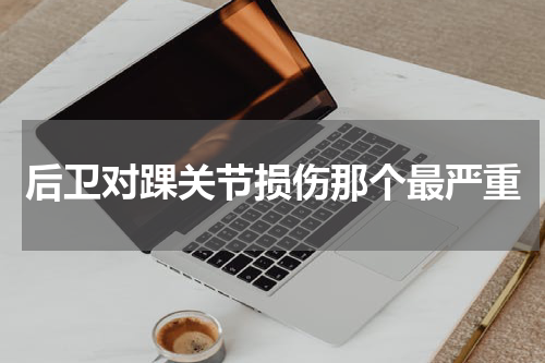 后卫对踝关节损伤那个最严重