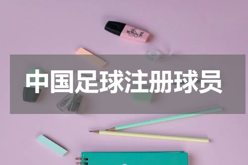 中国足球注册球员