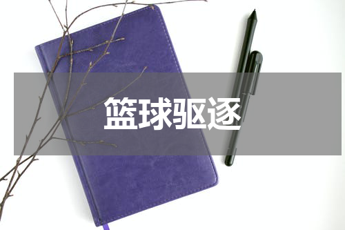 篮球驱逐