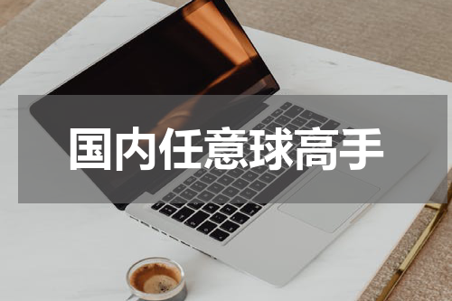 国内任意球高手