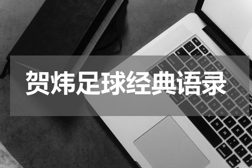 贺炜足球经典语录
