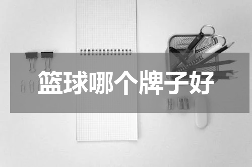 篮球哪个牌子好