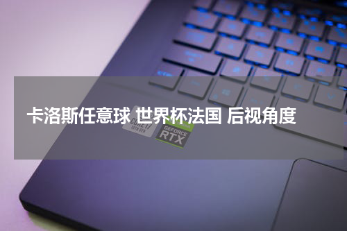 卡洛斯任意球 世界杯法国 后视角度