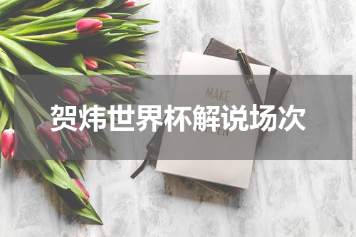 贺炜世界杯解说场次