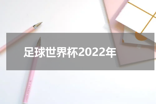 足球世界杯2022年