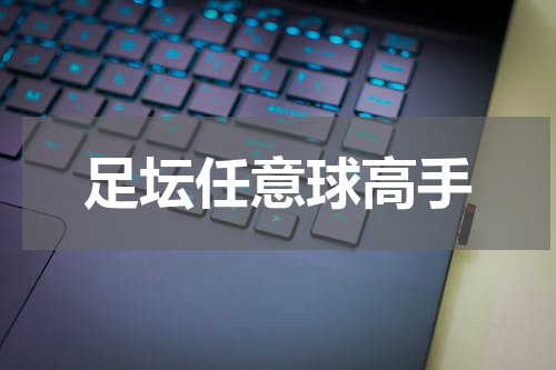 足坛任意球高手