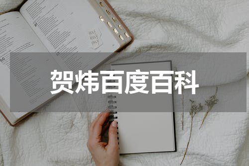 贺炜百度百科