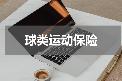 球类运动保险