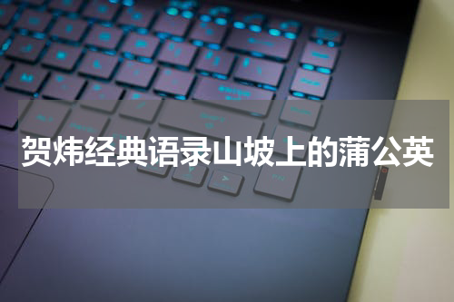 贺炜经典语录山坡上的蒲公英