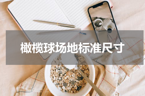 橄榄球场地标准尺寸