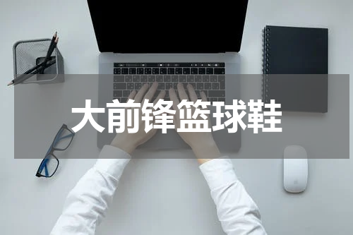 大前锋篮球鞋