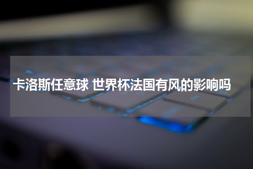 卡洛斯任意球 世界杯法国有风的影响吗