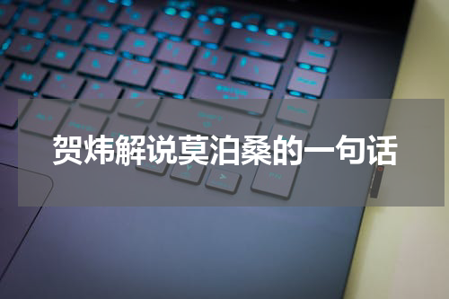 贺炜解说莫泊桑的一句话