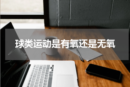 球类运动是有氧还是无氧