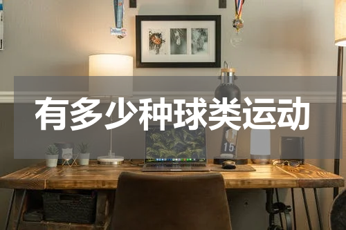 有多少种球类运动